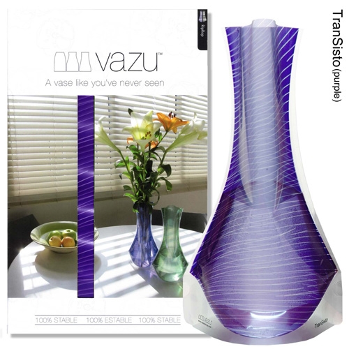 vazu_giftpack_transisto_purple_envelopepack-500x500